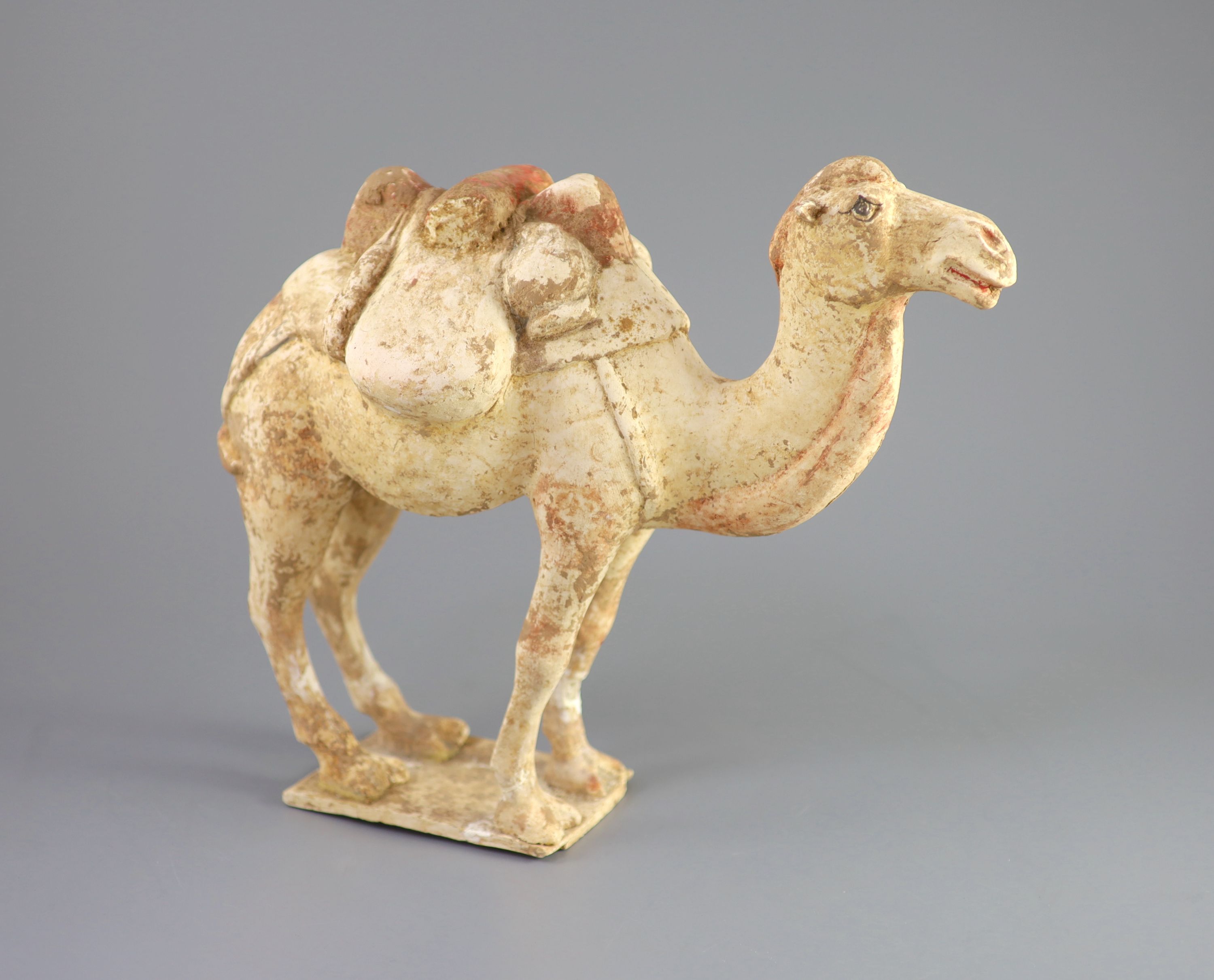 A Chinese pottery model of a Bactrian camel and a similar head of a man, Tang Dynasty, 28 cm and 16.5 cm high including bases